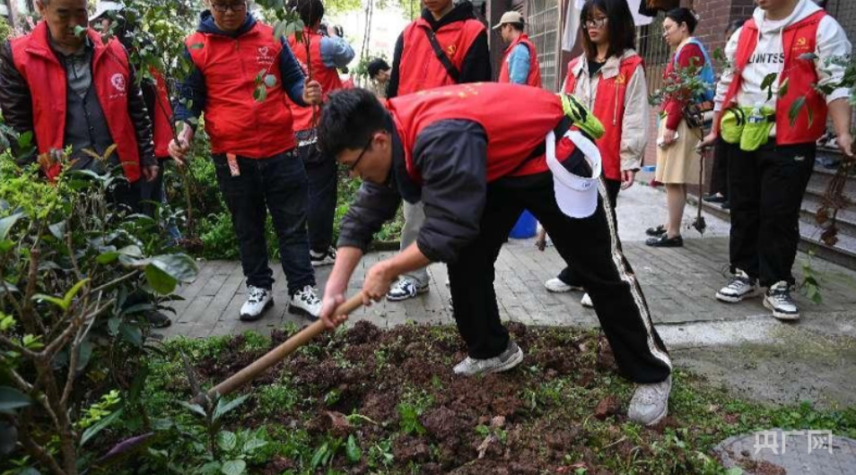 【央广网】重庆城科开展植树节主题党日活动