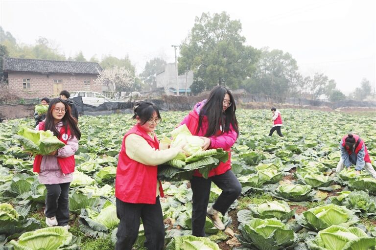 【永川网】永川：城科学子田间课堂“闹”春耕