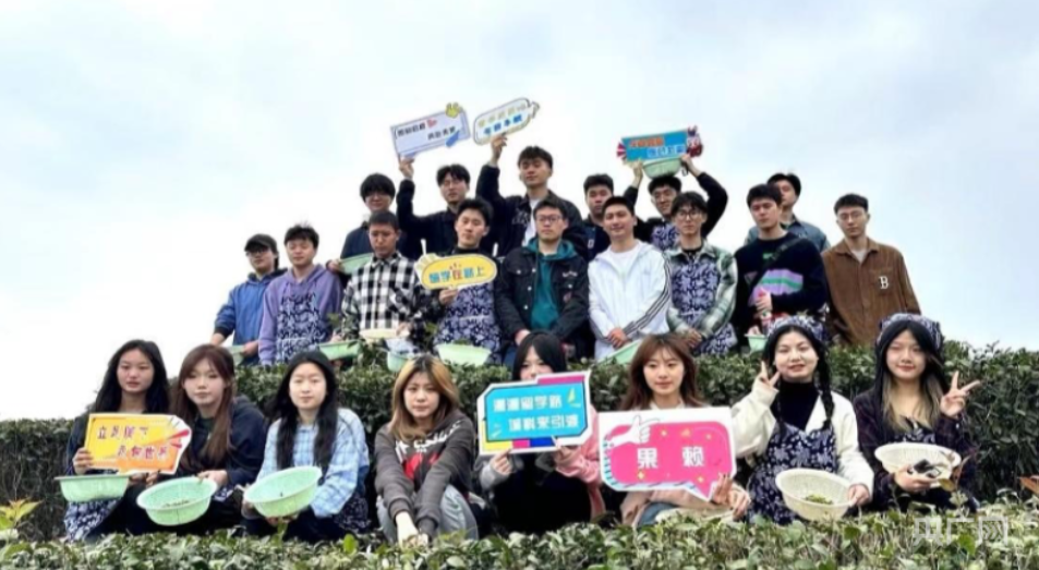 【央广网 】行走的课堂：重庆城科学子把课堂搬到了茶园