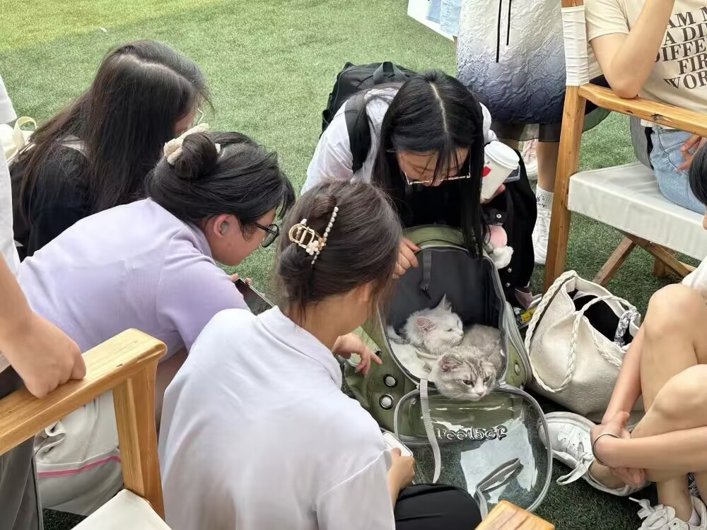 【重庆日报】开设心灵集市、心理素质拓展……重庆城市科技学院等几所高校这样度过大学生心理健康日