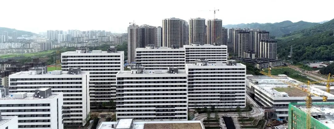 【重庆教育】以学促干 · 重庆教育见行动丨持续引导规范重庆城市科技学院等民办教育发展壮大