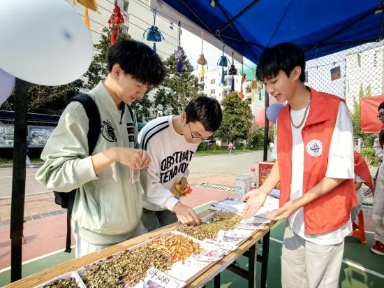 【中国新闻网】重庆城市科技学院开展校园文化活动 弘扬中华民族传统美德