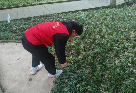 【中国新闻网】重庆城市科技学院举行“捡跑”活动 倡导绿色环保理念