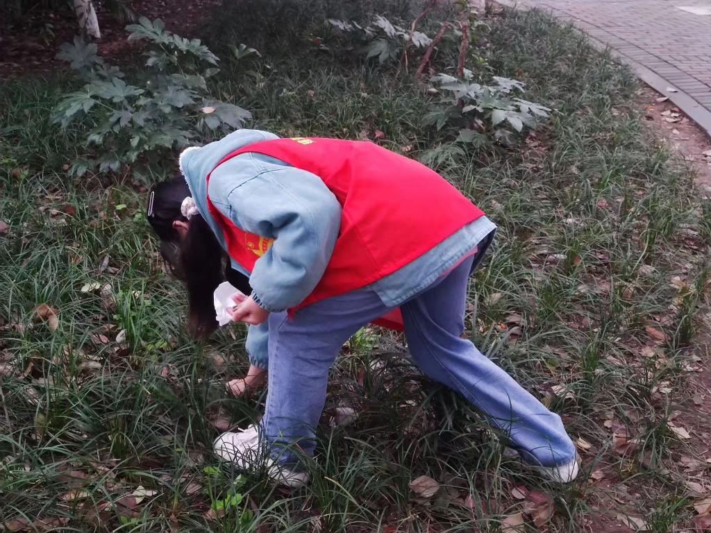 【华龙网】传承雷锋精神 重庆城市科技学院等重庆高校师生争当追“锋”少年