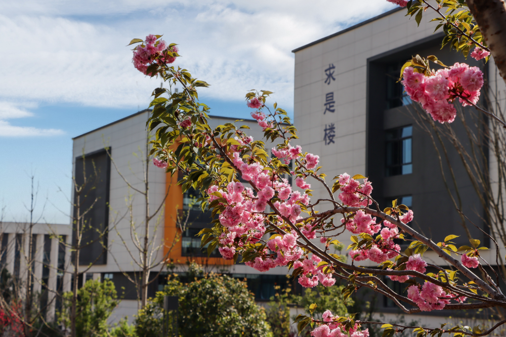 【华龙网】山花烂漫正当时 重庆城市科技学院“开往春天的列车”已启程