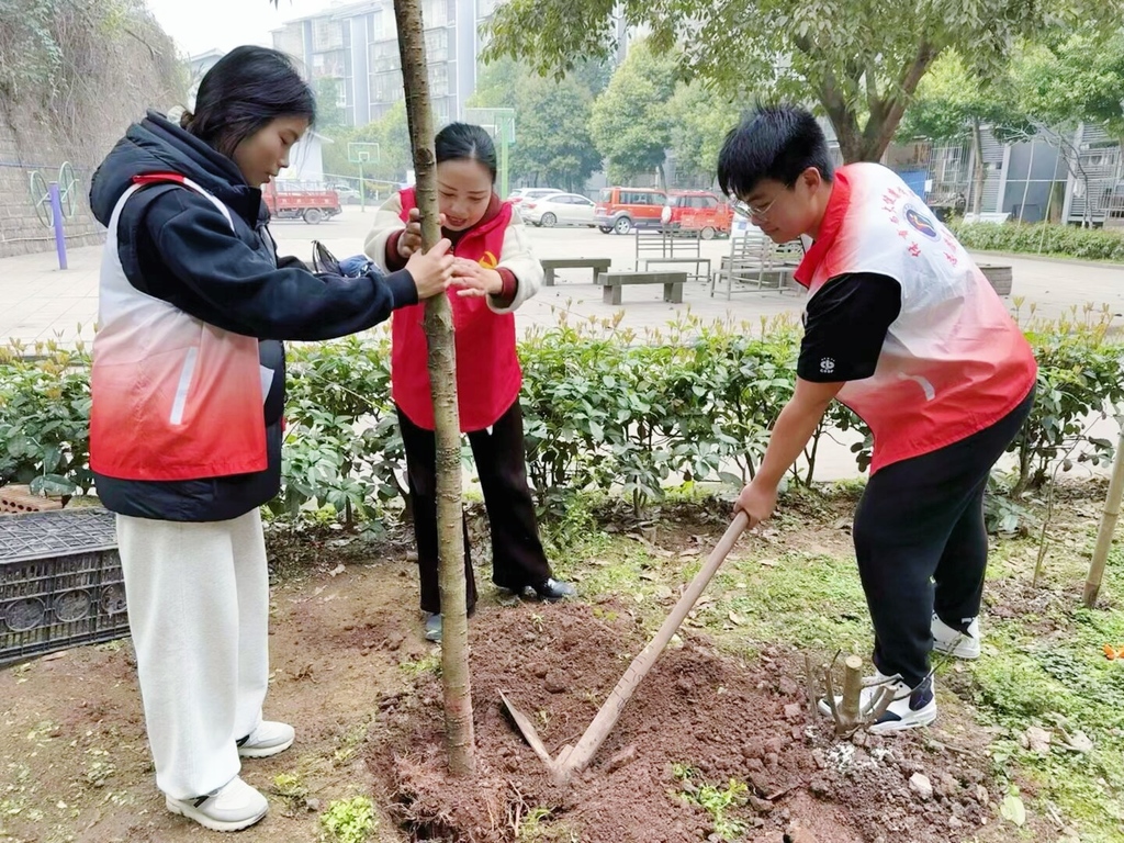 【永川头条】重庆城市科技学院 青春志愿红 共绘新绿图