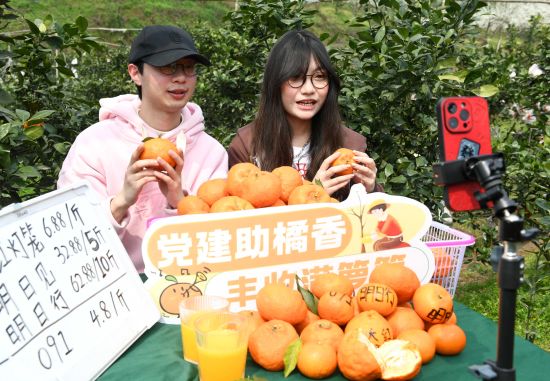 【重庆日报】采摘、锄草、直播卖柑橘！重庆大学生田间开展助农服务