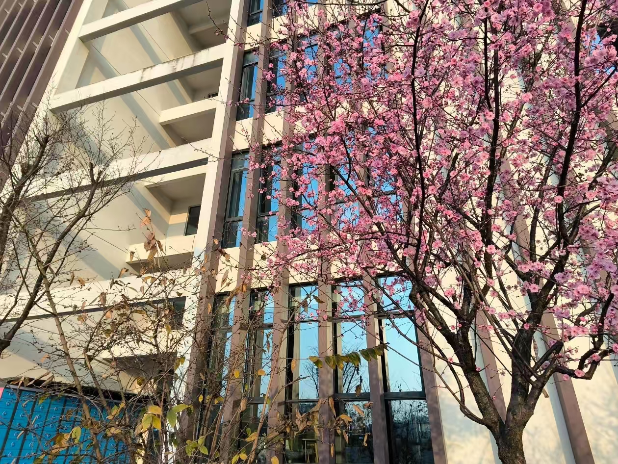 校园美景风光