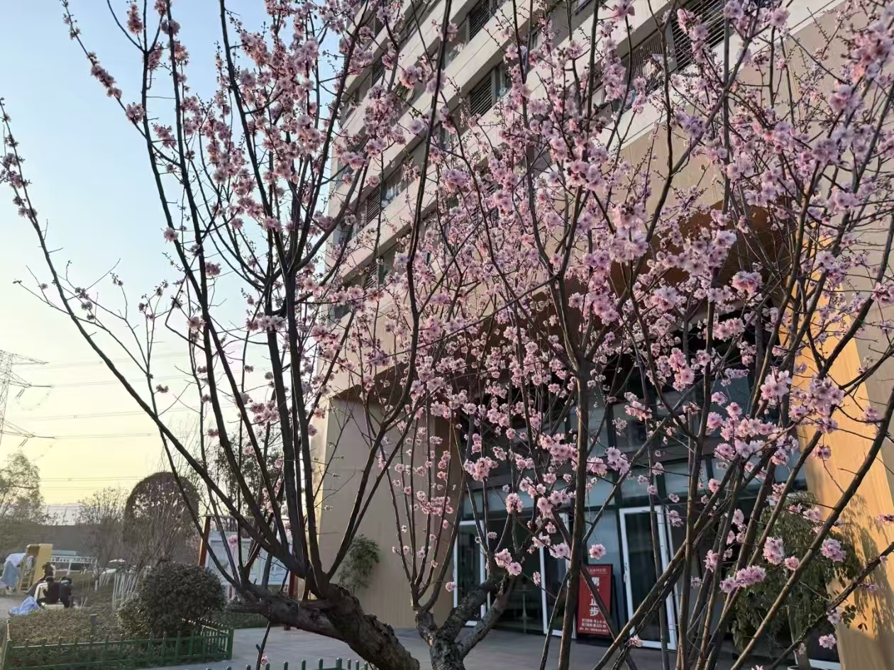校园美景风光