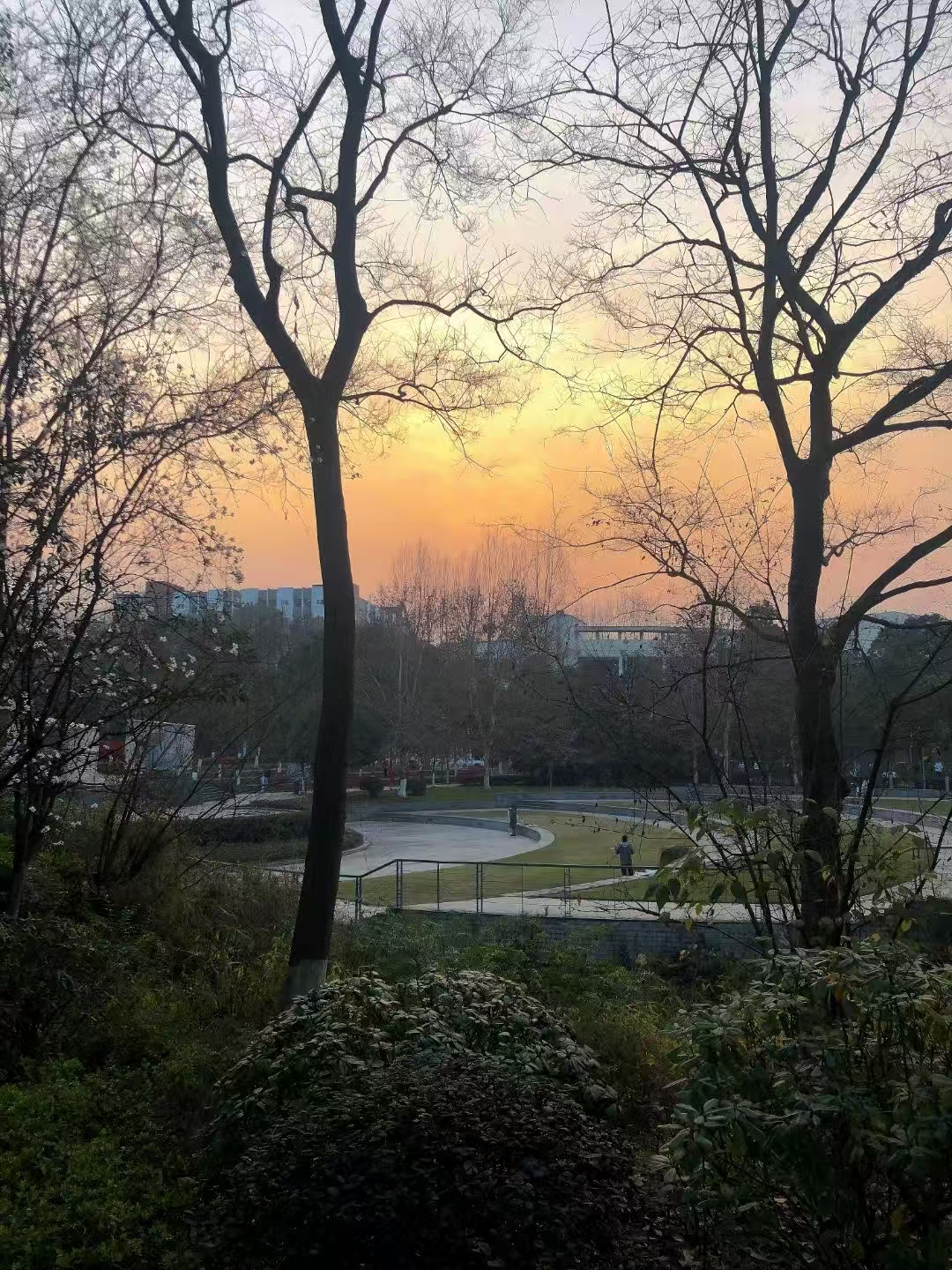 日出晨曦