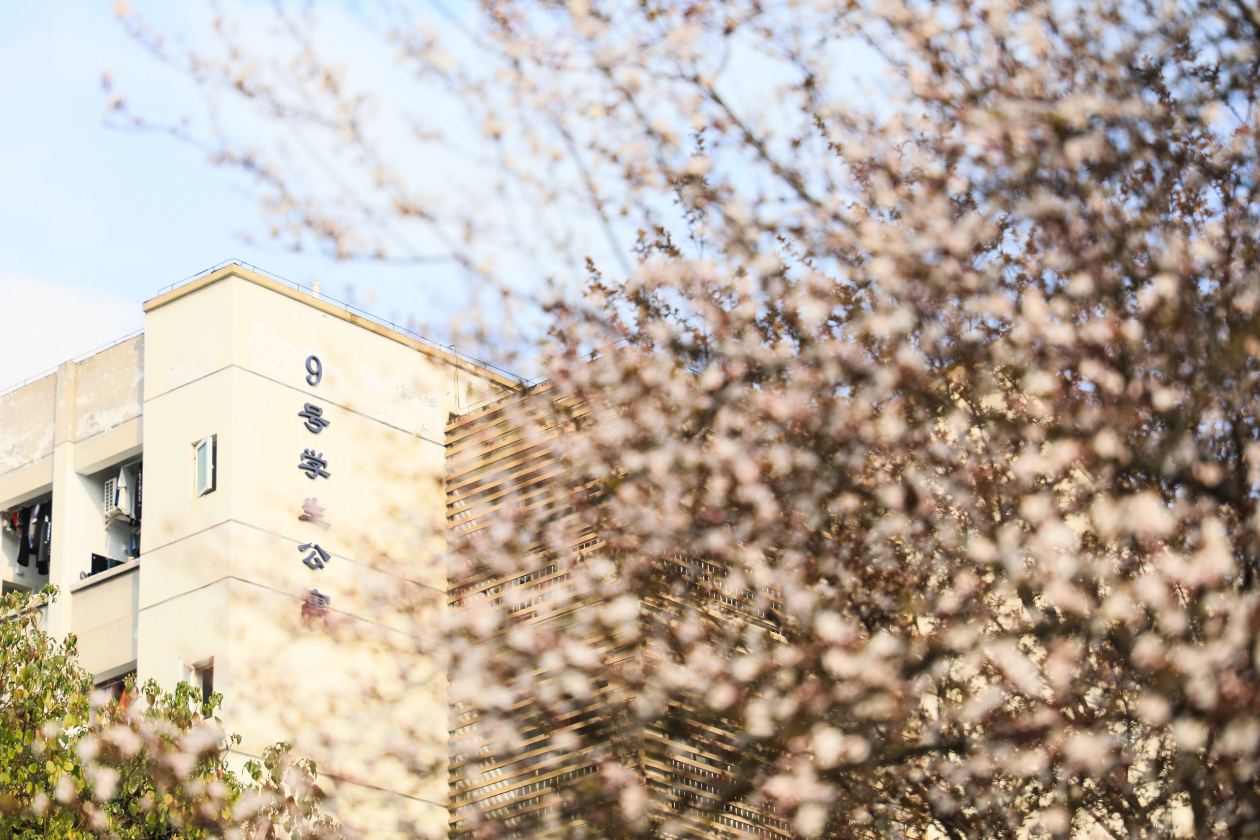 学生公寓前
