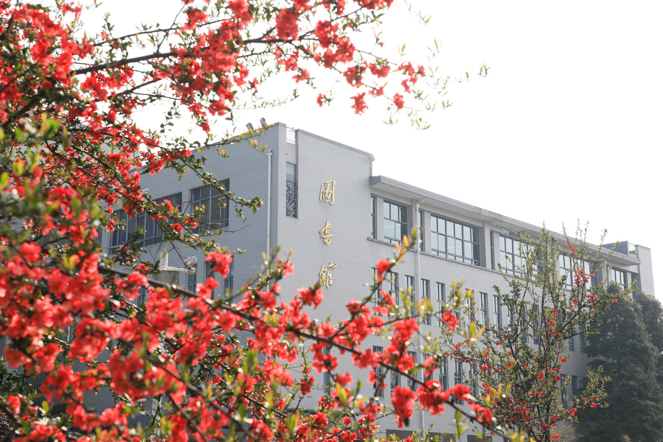 永川校区图书馆前