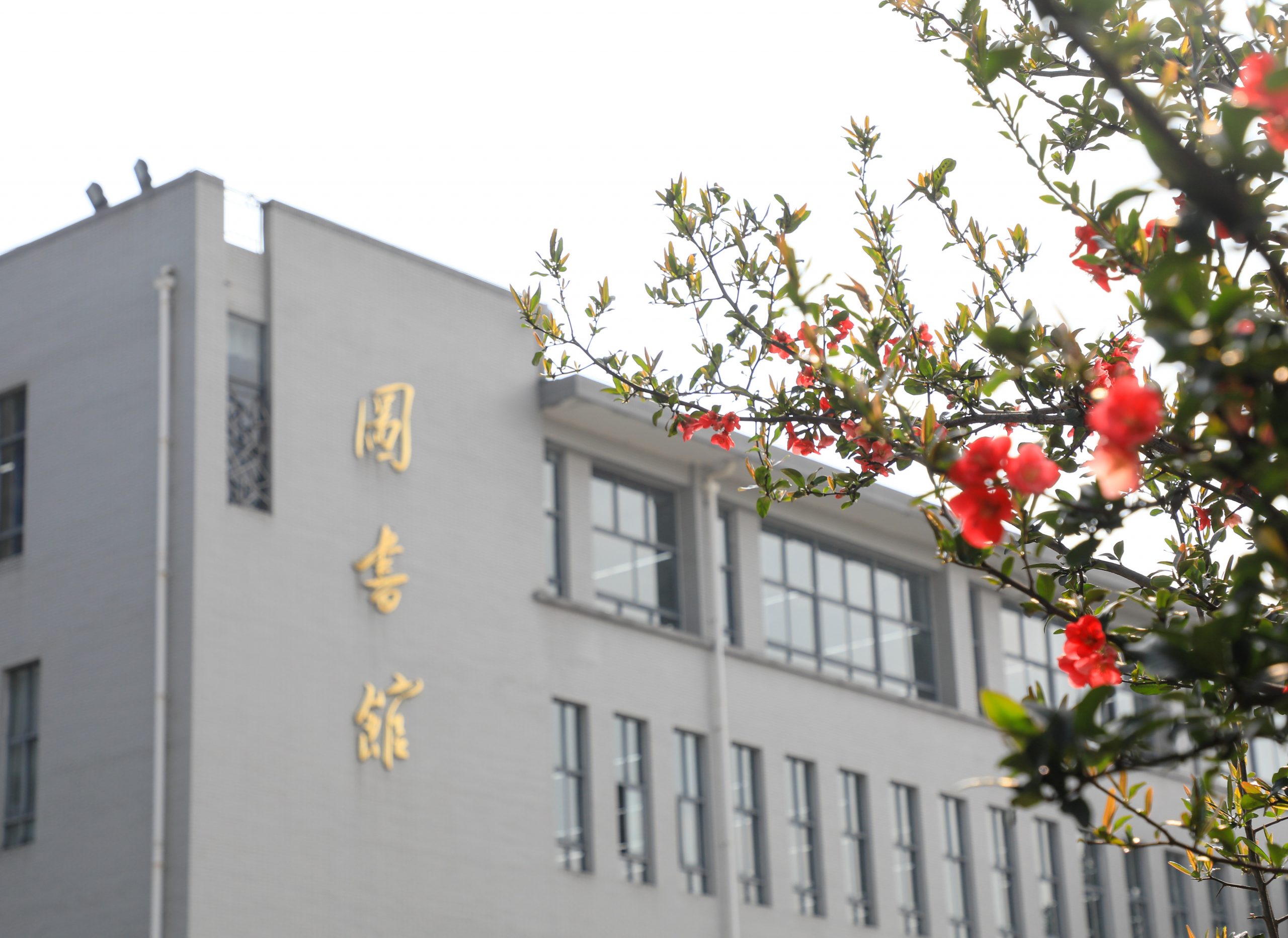 永川校区图书馆前